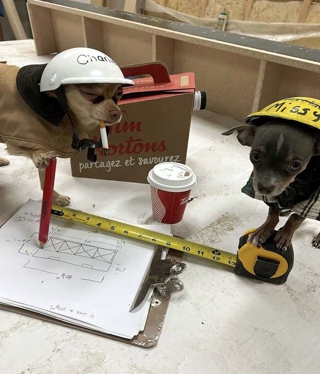 Blueprints & Belly Rubs