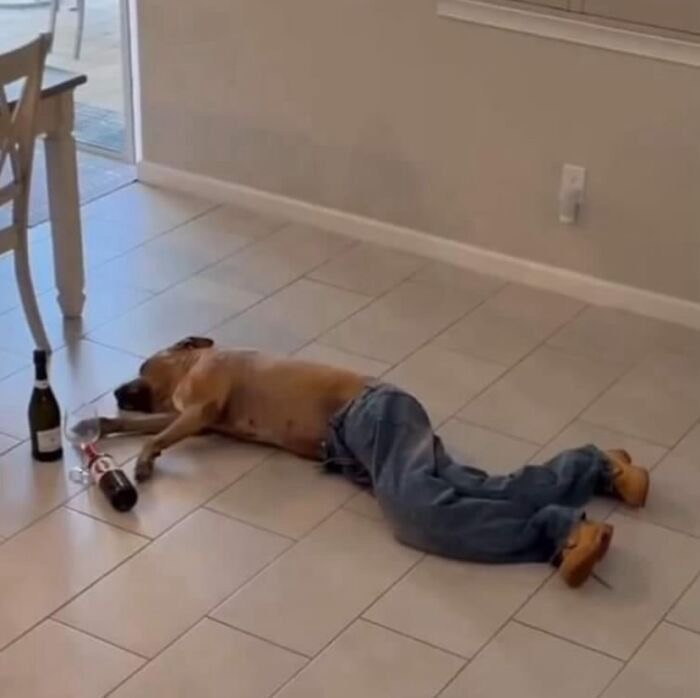 Last Call at the Fire Hydrant