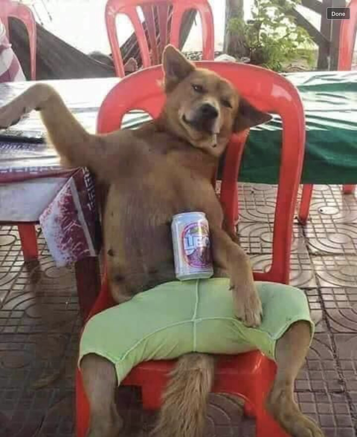 Beer, Siesta, Repeat