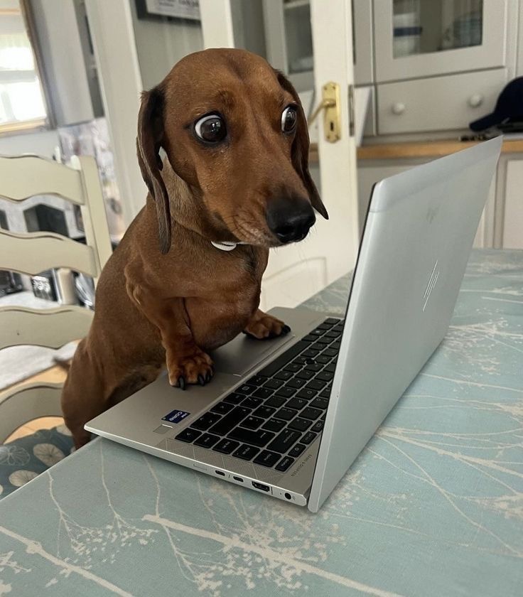 When the Wi-Fi Stops Working