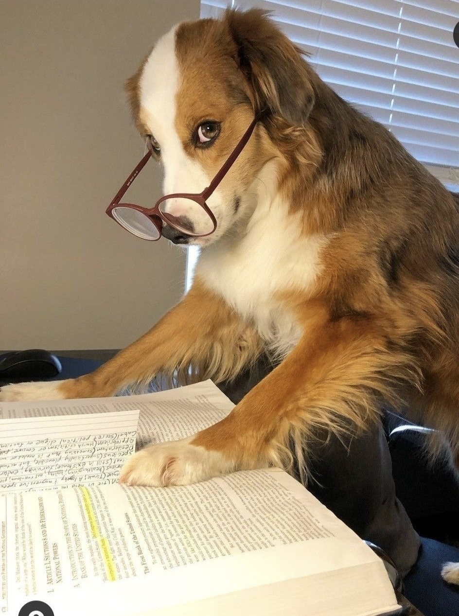 The Academic That Stares Into Your Soul