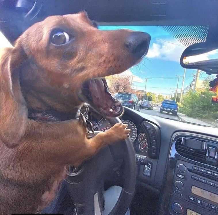 Tailspin at the Wheel