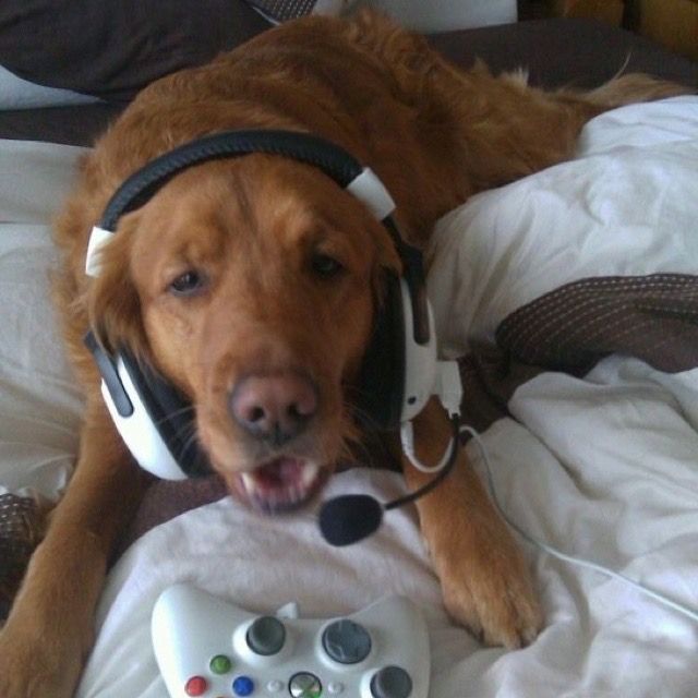 Player 2 Has Entered the Game