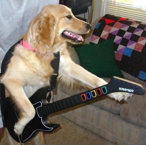 Guitar Hero or Howler?