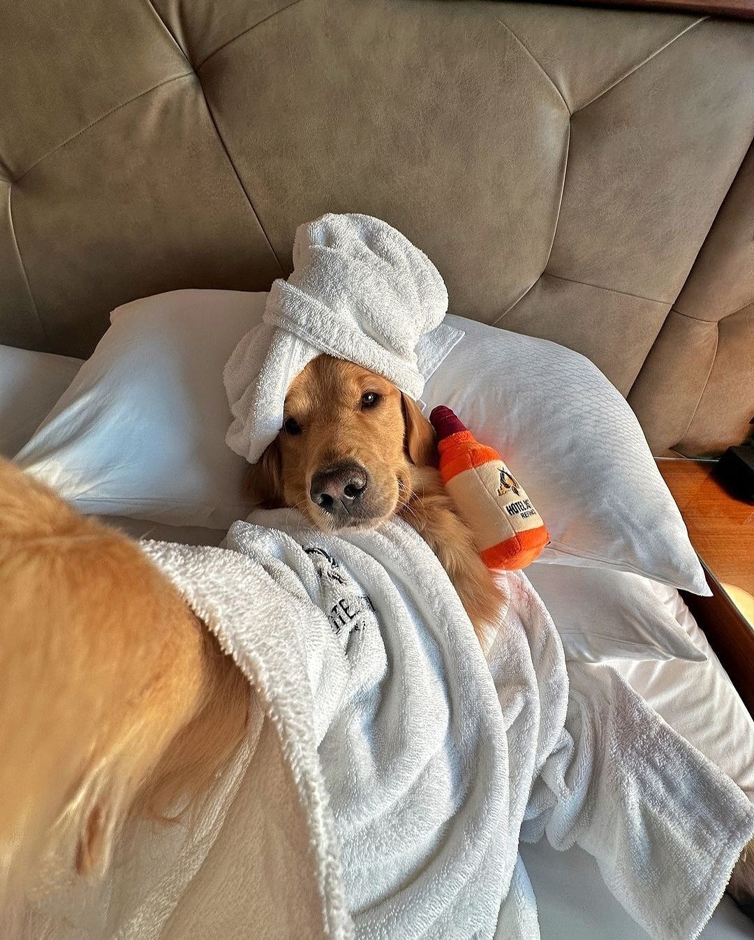 Morning Routine, But Make It Glam