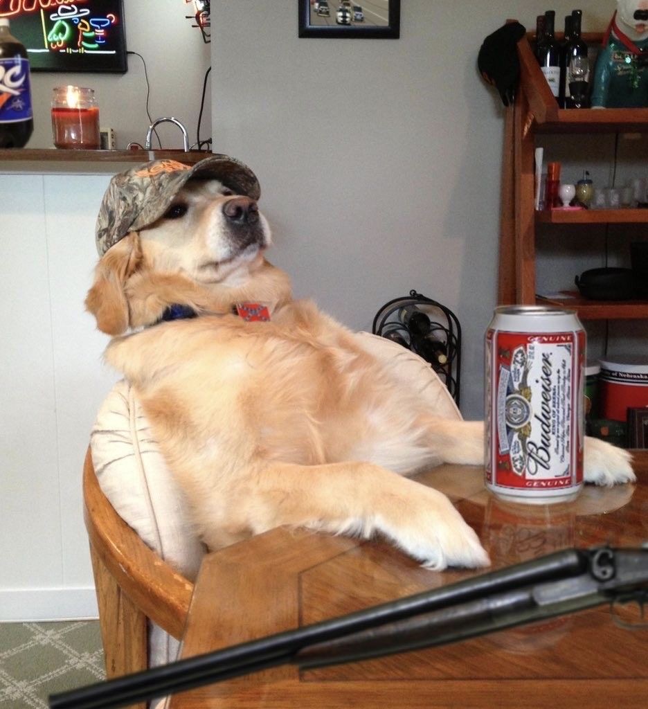 Locked. Loaded. Lab.