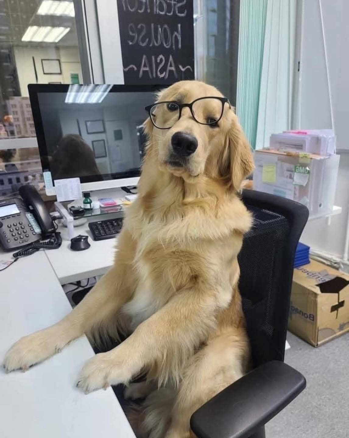 9 to 5? More Like Ruff to 5.