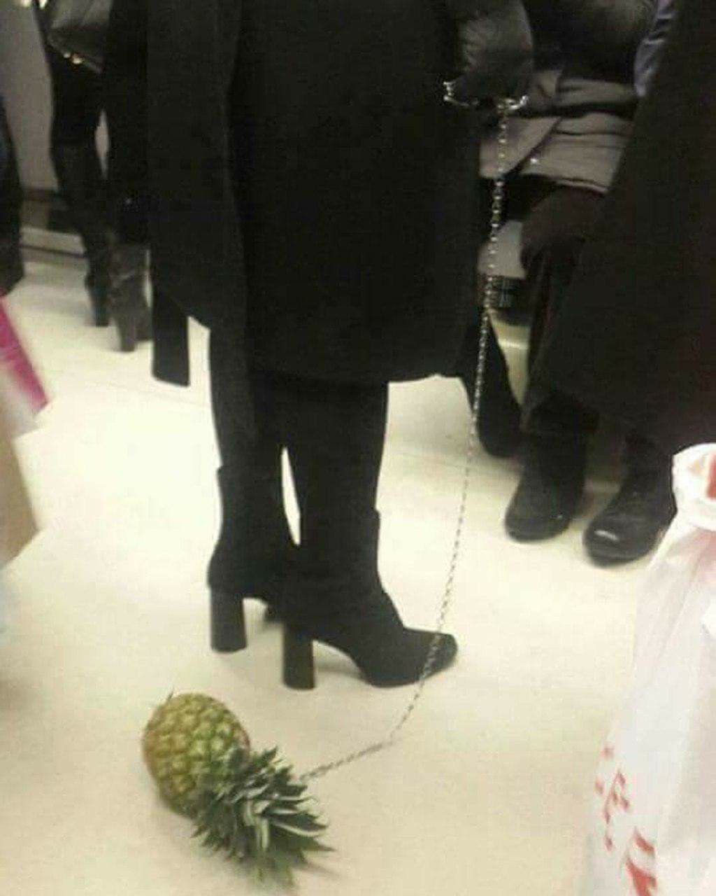 Pineapple on a Leash: Finally, a Pet That Doesn’t Judge You