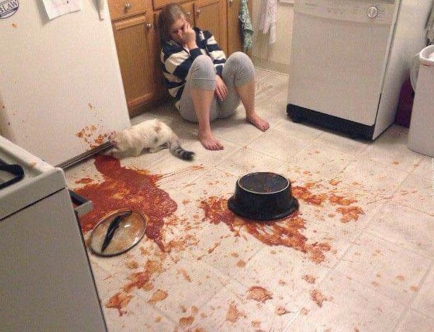 Cat + Chaos = Dinner’s Over