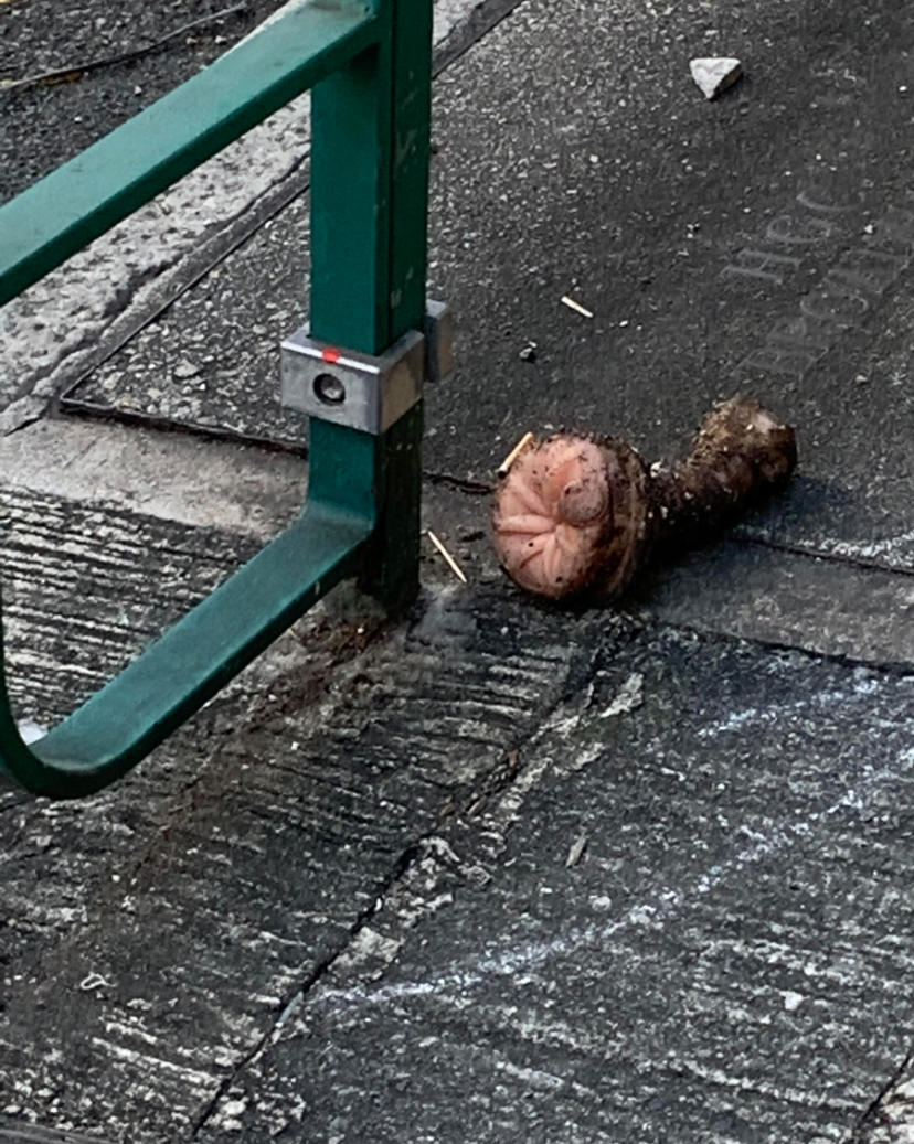 Human? Art? Urban Cryptid?