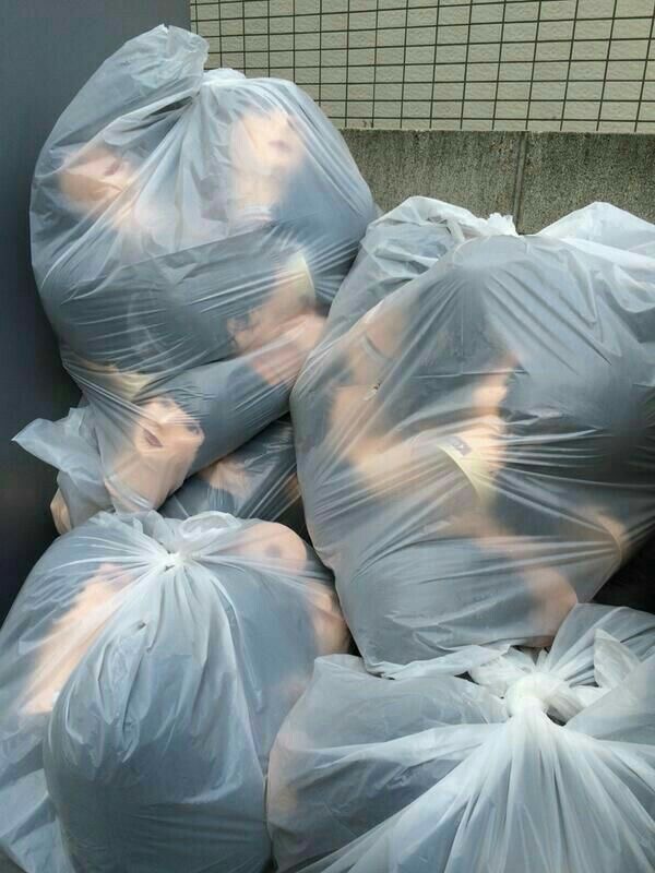 The Garbage Bag of Nightmares