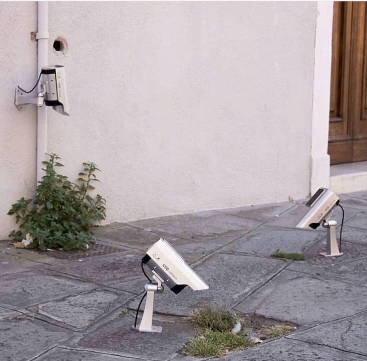 Big Brother Is Watching Your Lawn