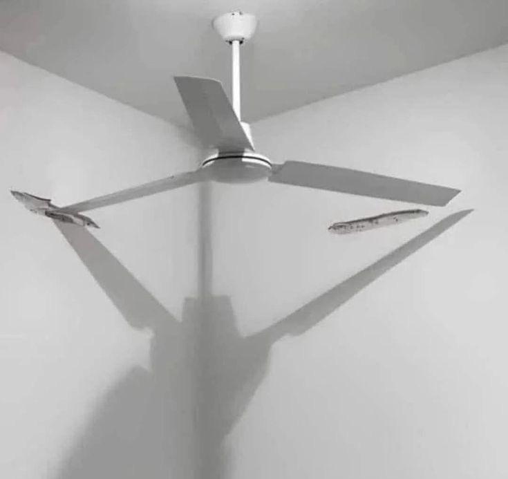 Fan-tastic Placement