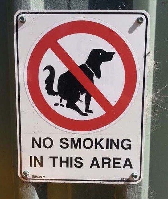 No Smoking. No Dignity.