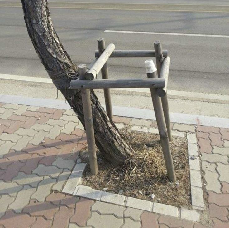 Support System: Optional