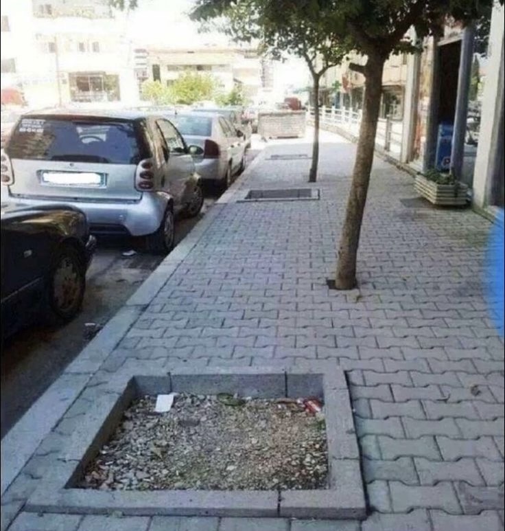 Concrete Jungle Where Dreams Get Paved