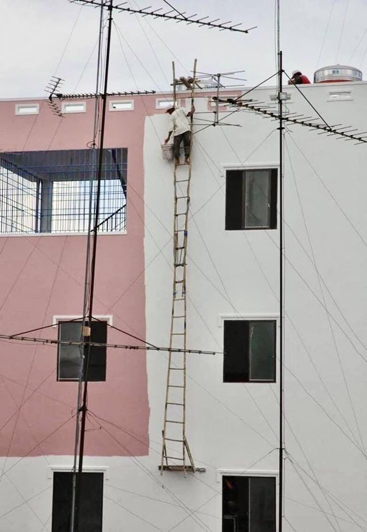 Wood You Survive This?