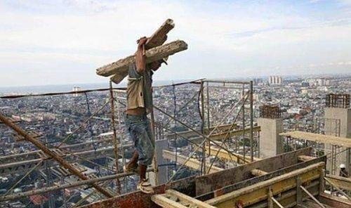 Standing on Toothpicks, Holding Timber
