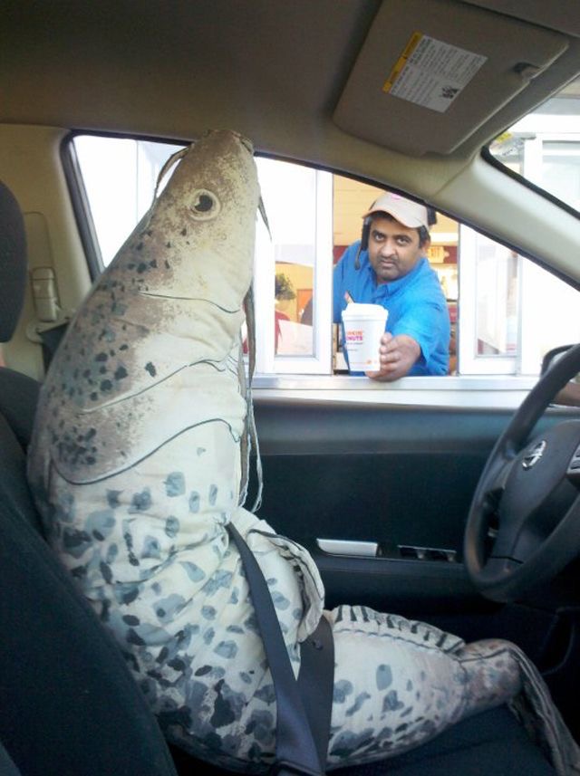 Gone Fishin’, Then Straight to the Drive-Thru