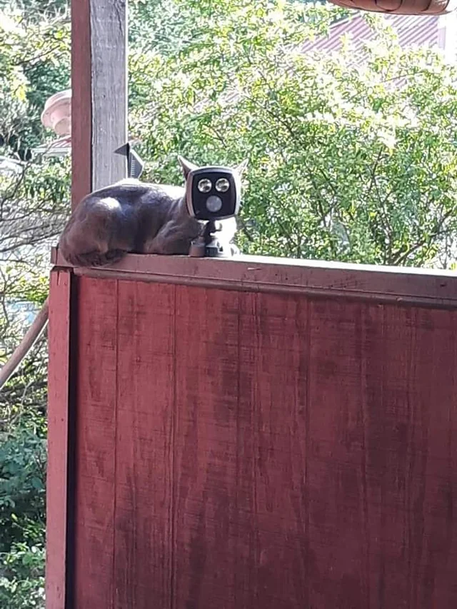 The surveillance system is needing an upgrade.