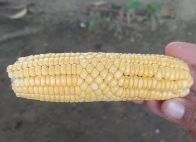 Just a factory issue, no worries.