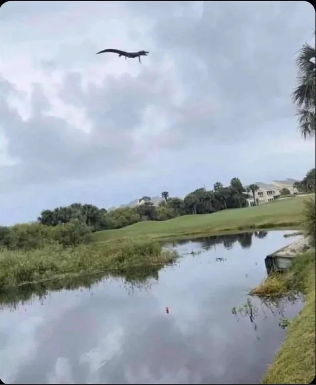 Florida's final boss.