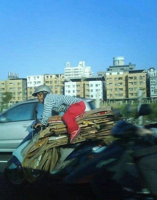 Chaos, But Make It Cardboard