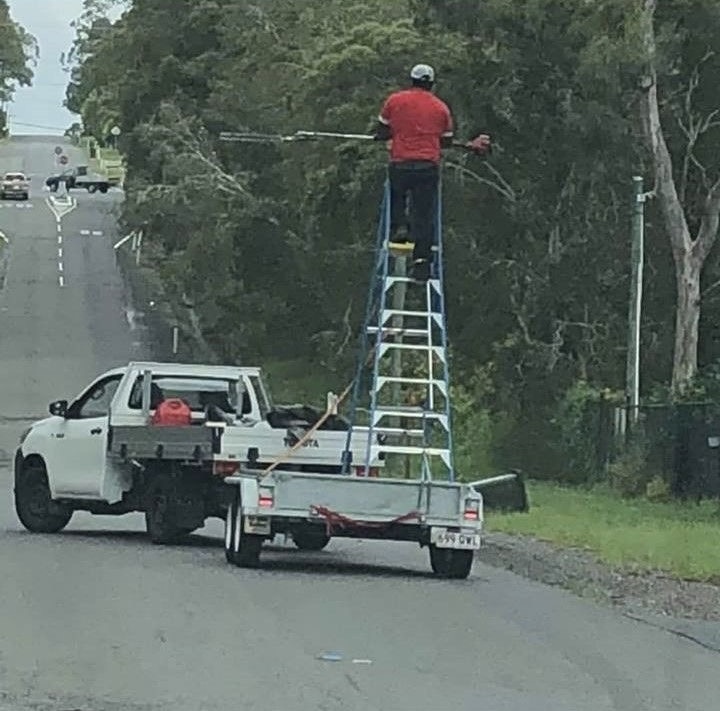 Mobile Ladder, Immobile Logic