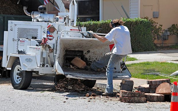 Man Enters Wood Chipper And Denies All Safety Training