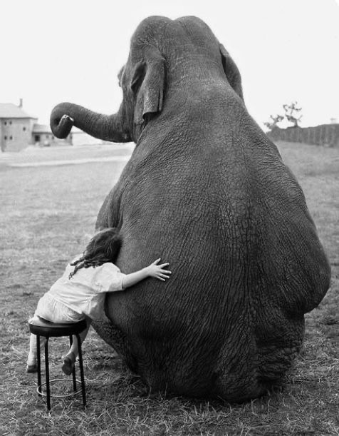 Hug Big. Love Bigger.