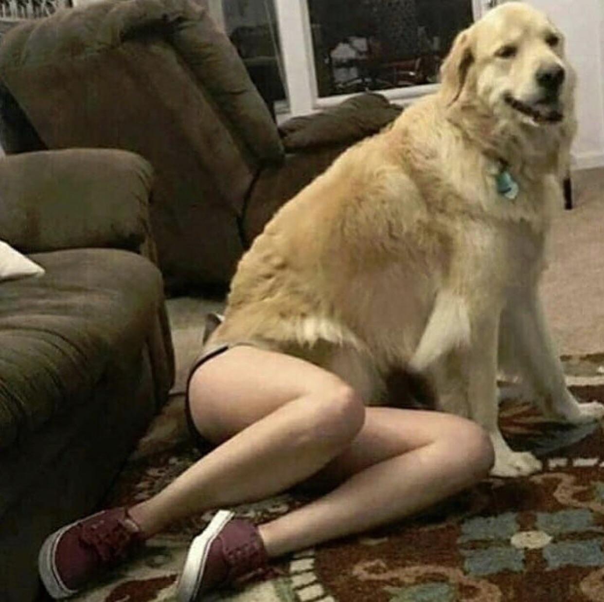 Anyways, belly rubs are accepted either way.