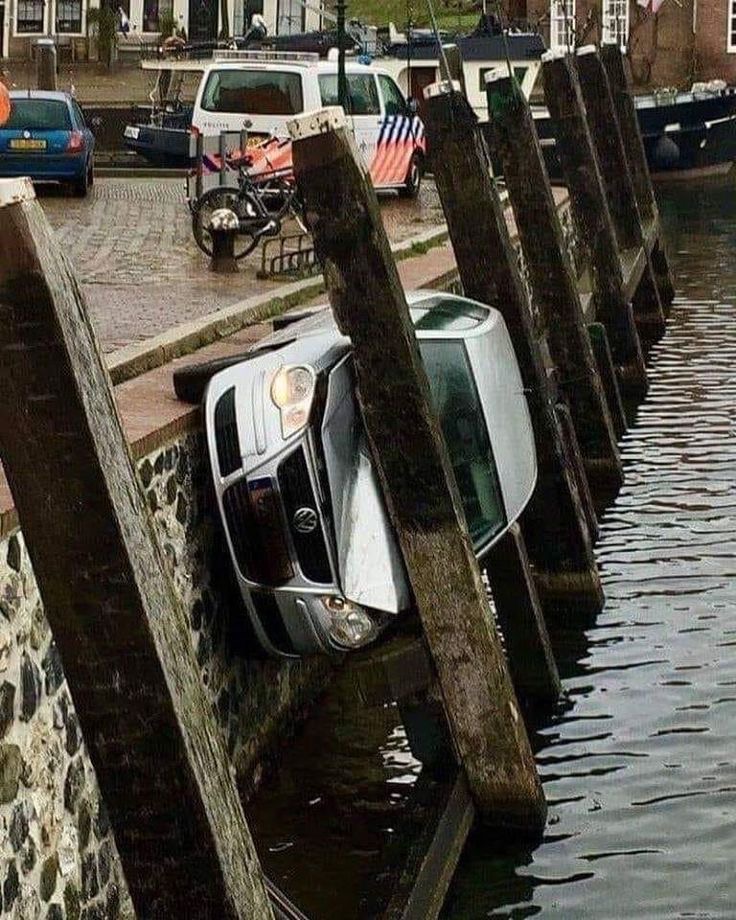 The action movie no one asked for