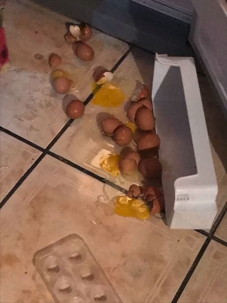 Drops all the eggs. All. Of. Them.