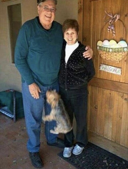 Dog Aims for the Danger Zone