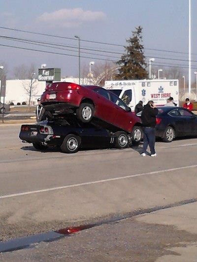 New Species: Car-on-Car Crime