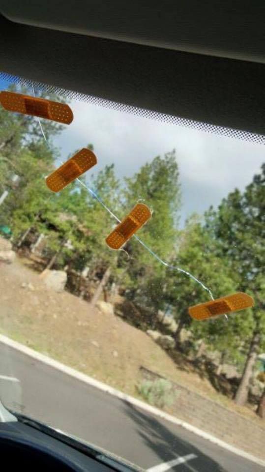 Now Featuring: Wind, Rain, and Shame