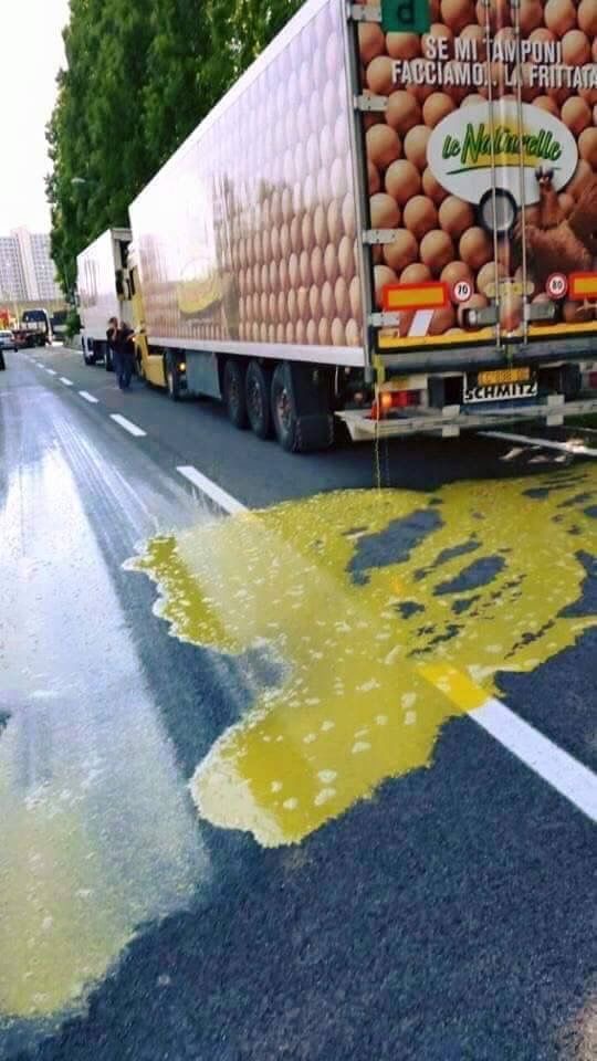 Eggs: 0, Pavement: 1