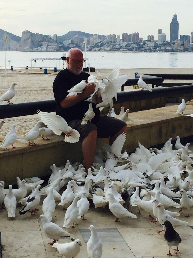 Feed One Pigeon, Recruit The Whole Army