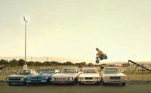 He Believed He Could Fly… Then Gravity Said: “Nah”