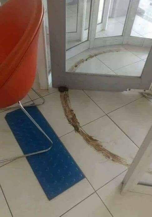 The Revolving Poopmergency