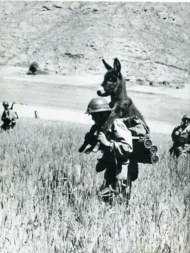 He Carried a Nation. And a Donkey.