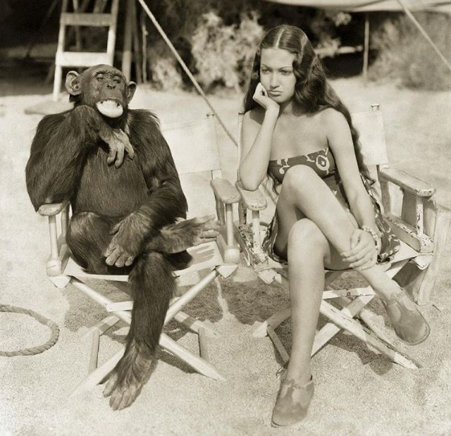 Beauty and the Primate