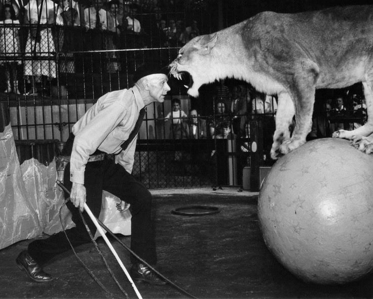 Smile for the Camera. Or Don’t.