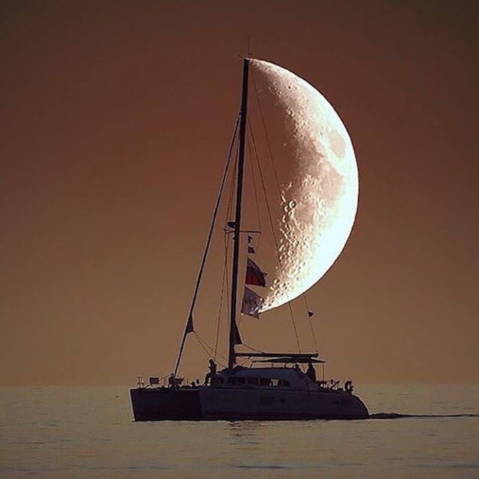 The Moon and the Boat Were Secretly in Love