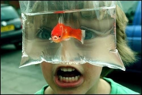 Little Bag of Wonder