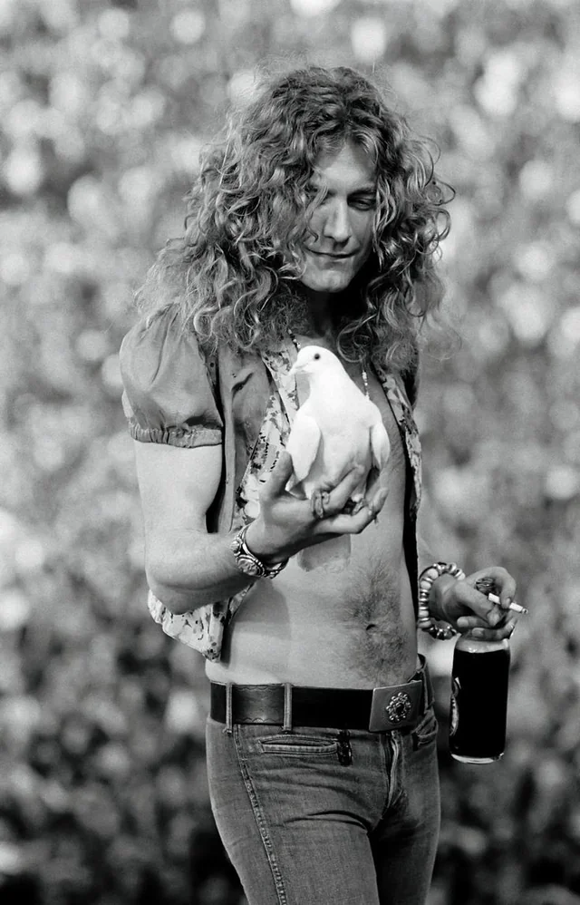 Robert Plant