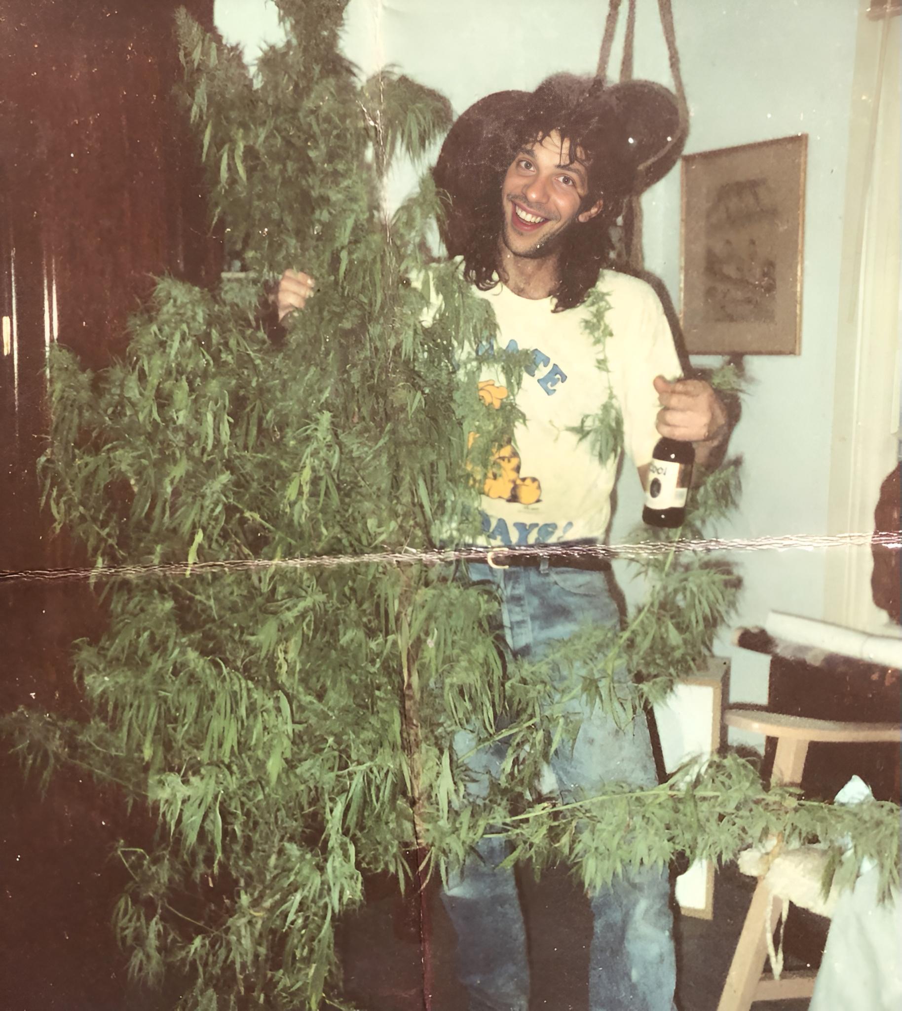 Technically just growing a houseplant.