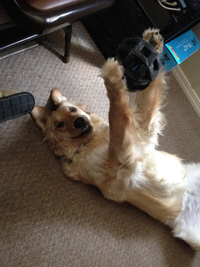 The true face of joy.