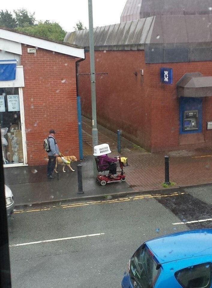 Weatherproof & Brainproof