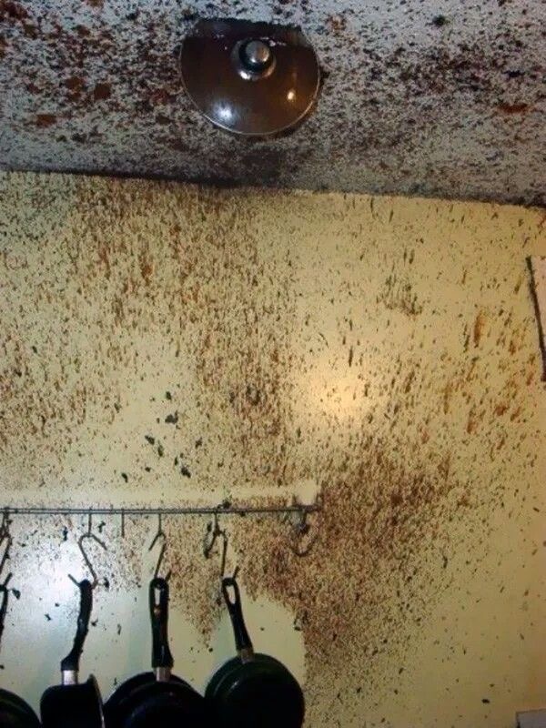 Dinner? More Like Detonation.